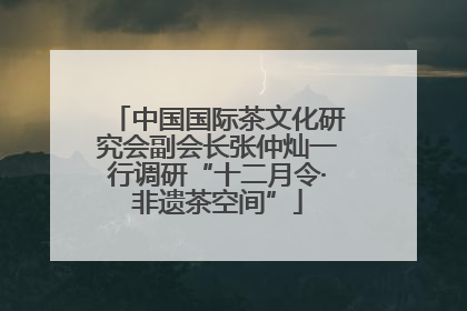 中国国际茶文化研究会副会长张仲灿一行调研“十二月令·非遗茶空间”