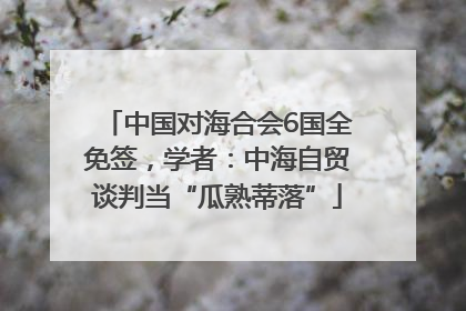 中国对海合会6国全免签，学者：中海自贸谈判当“瓜熟蒂落”