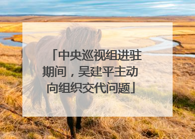 中央巡视组进驻期间，吴建平主动向组织交代问题