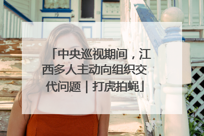 中央巡视期间，江西多人主动向组织交代问题｜打虎拍蝇