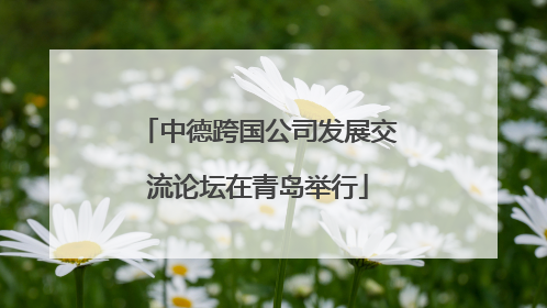 中德跨国公司发展交流论坛在青岛举行