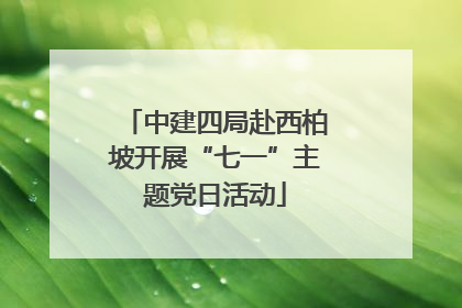 中建四局赴西柏坡开展“七一”主题党日活动