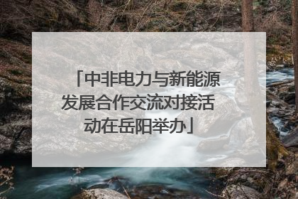 中非电力与新能源发展合作交流对接活动在岳阳举办