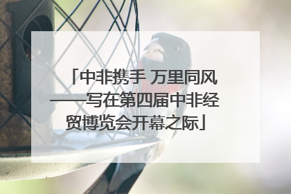 中非携手 万里同风——写在第四届中非经贸博览会开幕之际