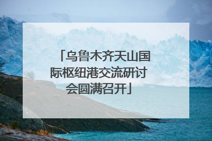 乌鲁木齐天山国际枢纽港交流研讨会圆满召开