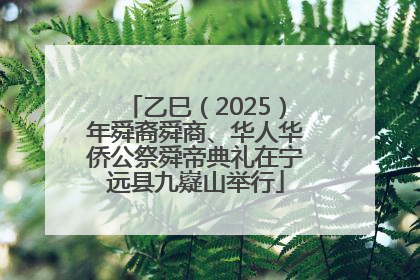 乙巳（2025）年舜裔舜商、华人华侨公祭舜帝典礼在宁远县九嶷山举行