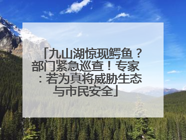 九山湖惊现鳄鱼？部门紧急巡查！专家：若为真将威胁生态与市民安全