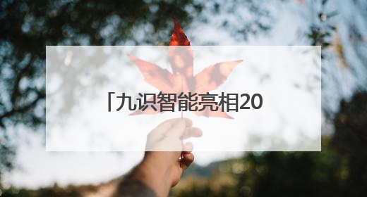 九识智能亮相2025廊坊经洽会：以技术革新推动智能物流产业升级