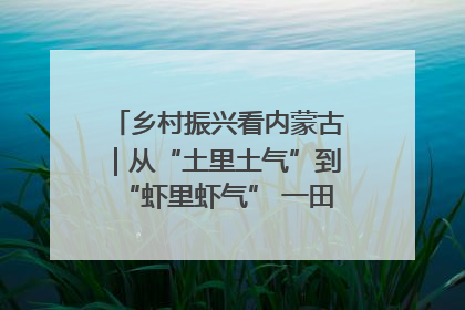 乡村振兴看内蒙古｜从“土里土气”到“虾里虾气” 一田双收模式火出圈