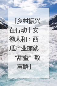 乡村振兴在行动丨安徽太和：西瓜产业铺就“甜蜜”致富路