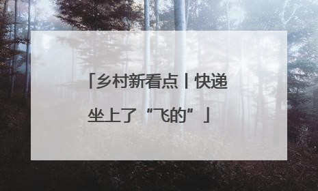乡村新看点丨快递坐上了“飞的”