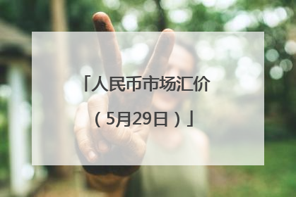 人民币市场汇价（5月29日）