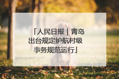 人民日报｜青岛出台规定护航村级事务规范运行