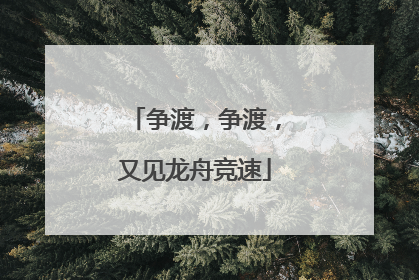 争渡，争渡，又见龙舟竞速