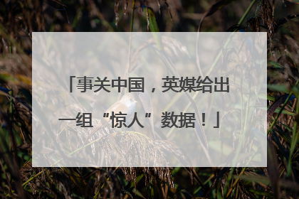 事关中国，英媒给出一组“惊人”数据！