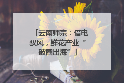 云南师宗：借电驭风，鲜花产业“破圈出海”