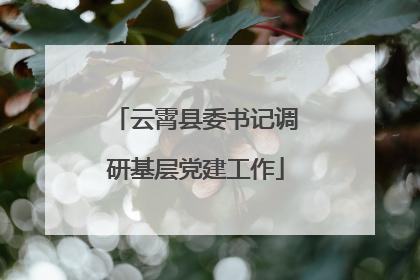 云霄县委书记调研基层党建工作