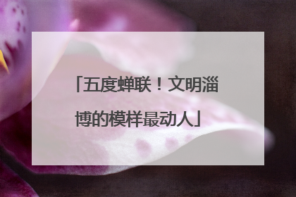 五度蝉联！文明淄博的模样最动人