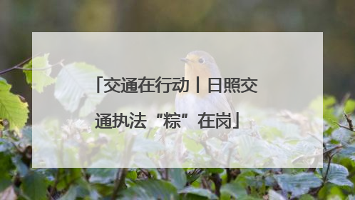 交通在行动丨日照交通执法“粽”在岗