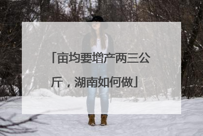 亩均要增产两三公斤，湖南如何做