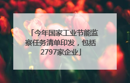 今年国家工业节能监察任务清单印发，包括2797家企业