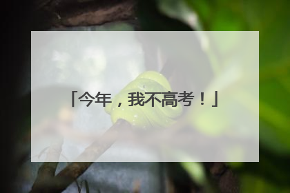 今年，我不高考！
