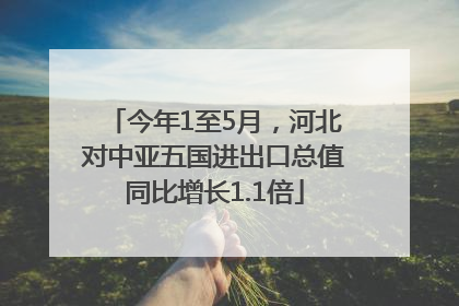 今年1至5月，河北对中亚五国进出口总值同比增长1.1倍