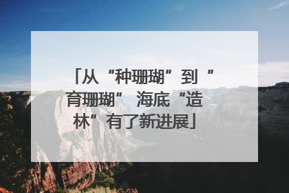 从“种珊瑚”到“育珊瑚” 海底“造林”有了新进展
