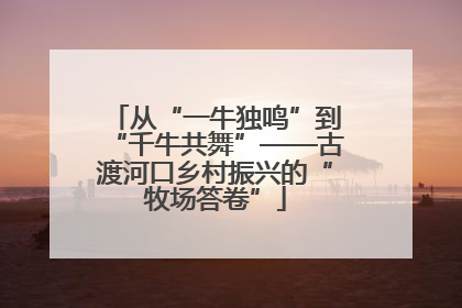 从“一牛独鸣”到“千牛共舞”——古渡河口乡村振兴的“牧场答卷”