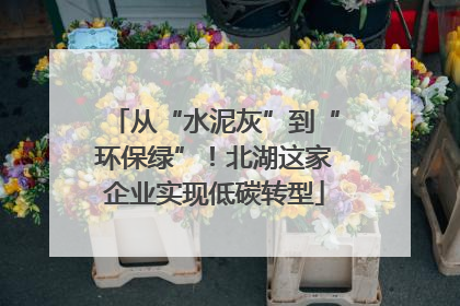 从“水泥灰”到“环保绿”！北湖这家企业实现低碳转型