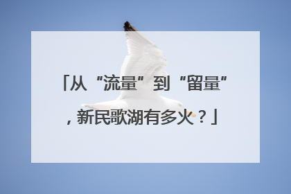从“流量”到“留量”，新民歌湖有多火？