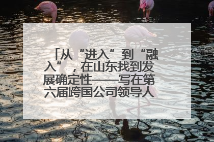 从“进入”到“融入”，在山东找到发展确定性——写在第六届跨国公司领导人青岛峰会开幕之际