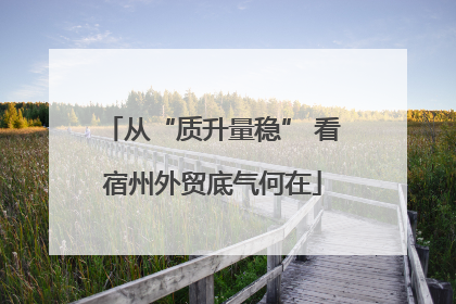从“质升量稳” 看宿州外贸底气何在