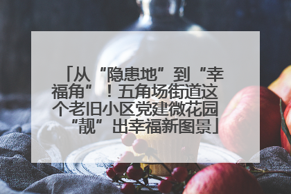 从“隐患地”到“幸福角”！五角场街道这个老旧小区党建微花园“靓”出幸福新图景