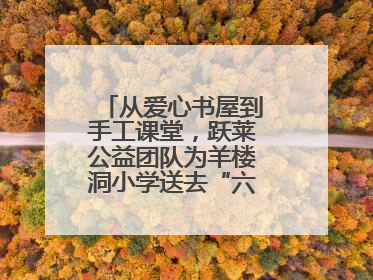 从爱心书屋到手工课堂，跃莱公益团队为羊楼洞小学送去“六一”特别礼物