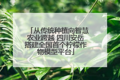 从传统种植向智慧农业跨越 四川安岳搭建全国首个柠檬作物模型平台
