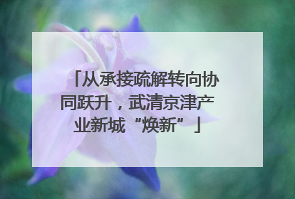 从承接疏解转向协同跃升，武清京津产业新城“焕新”
