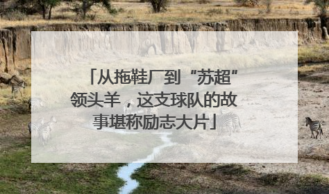 从拖鞋厂到“苏超”领头羊，这支球队的故事堪称励志大片