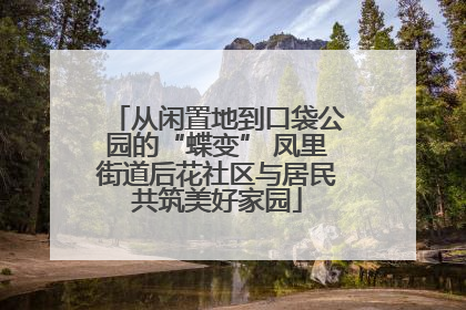 从闲置地到口袋公园的“蝶变” 凤里街道后花社区与居民共筑美好家园