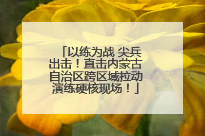 以练为战 尖兵出击！直击内蒙古自治区跨区域拉动演练硬核现场！