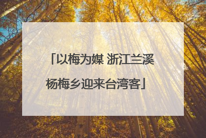 以梅为媒 浙江兰溪杨梅乡迎来台湾客