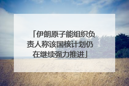 伊朗原子能组织负责人称该国核计划仍在继续强力推进