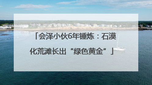 会泽小伙6年锤炼：石漠化荒滩长出“绿色黄金”