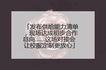 发布供给能力清单，现场达成初步合作意向……这场对接会让校服定制更放心