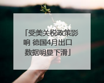 受美关税政策影响 德国4月出口数据明显下滑
