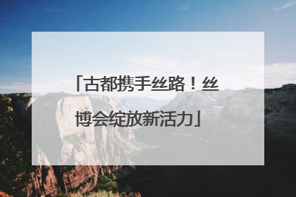 古都携手丝路！丝博会绽放新活力