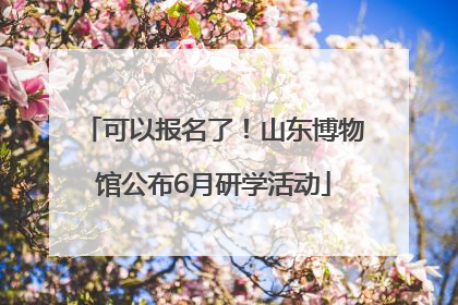 可以报名了！山东博物馆公布6月研学活动