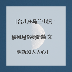 台儿庄马兰屯镇：移风易俗绘新篇 文明新风入人心