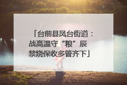 台前县凤台街道：战高温守“粮”辰 禁烧保收多管齐下