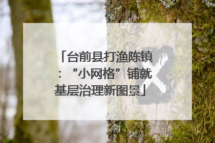 台前县打渔陈镇：“小网格”铺就基层治理新图景